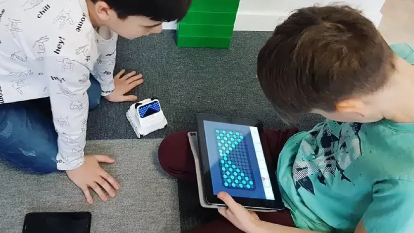 Codey Rocky in use